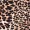 Animal Print Tie Detail Top