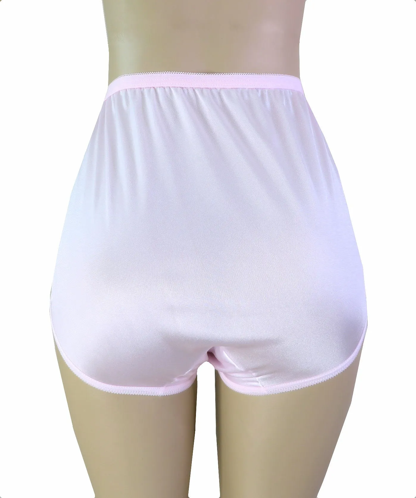 Dixie Belle Underwear Nylon Full Brief High Waist Panties 6-Pack