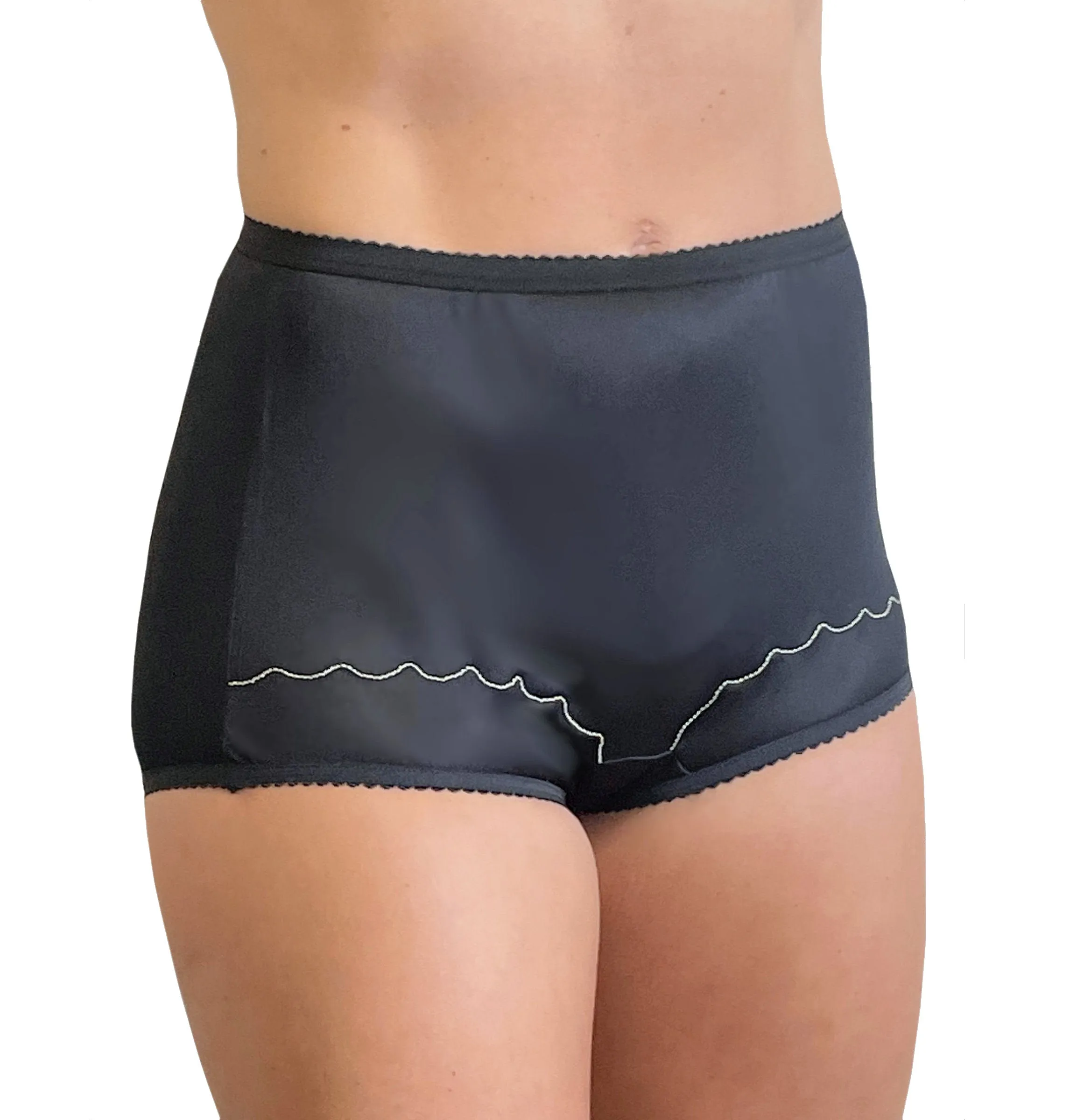 Dixie Belle Underwear Nylon Full Brief High Waist Panties 6-Pack