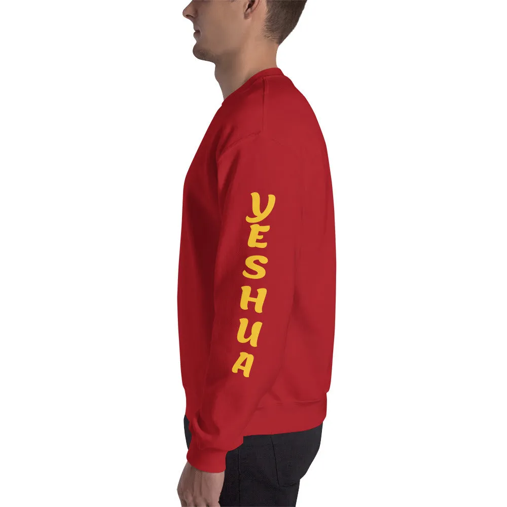JESUS /YESHUA | Premium UNITY Design SLR Adult or Teen Unisex Sweatshirt