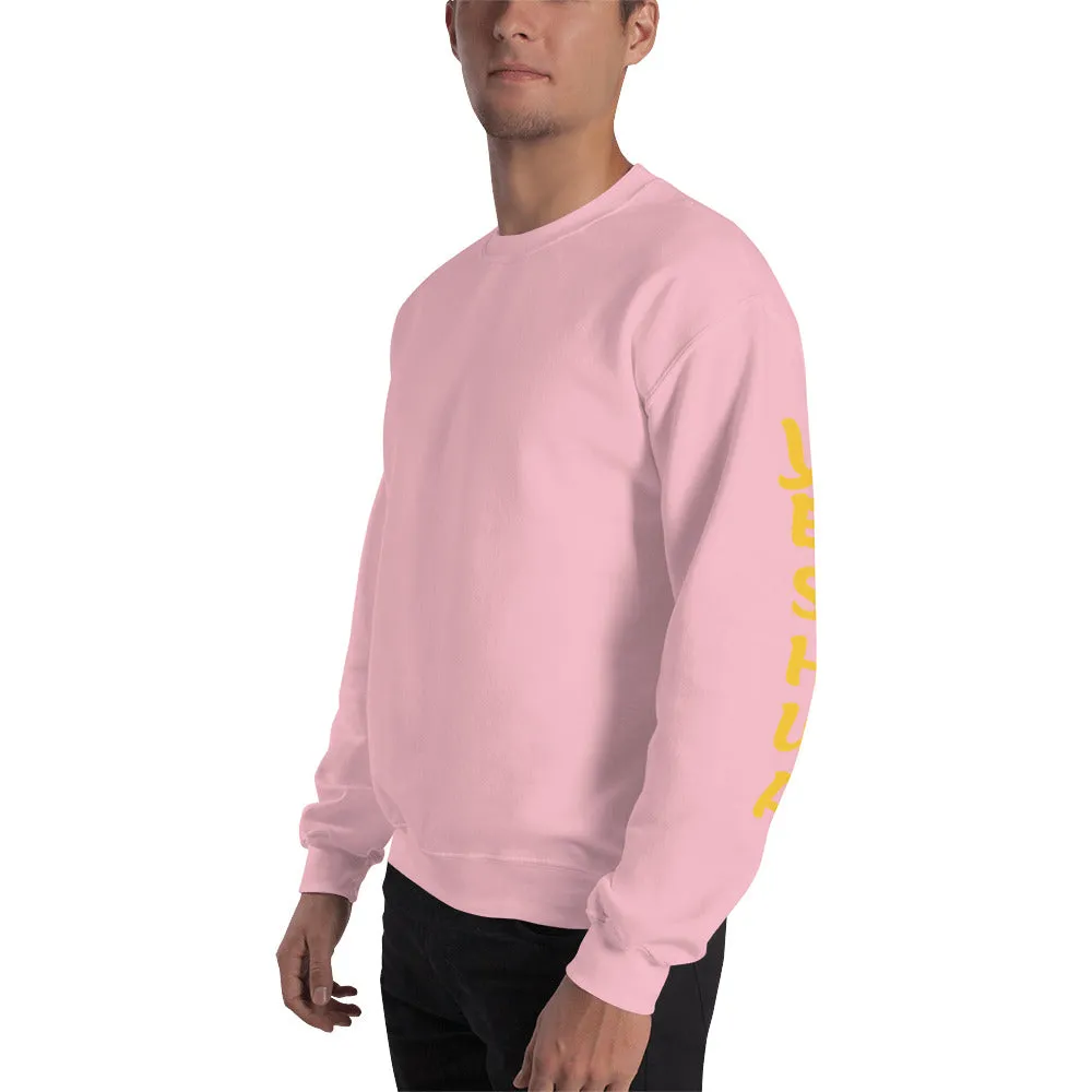 JESUS /YESHUA | Premium UNITY Design SLR Adult or Teen Unisex Sweatshirt
