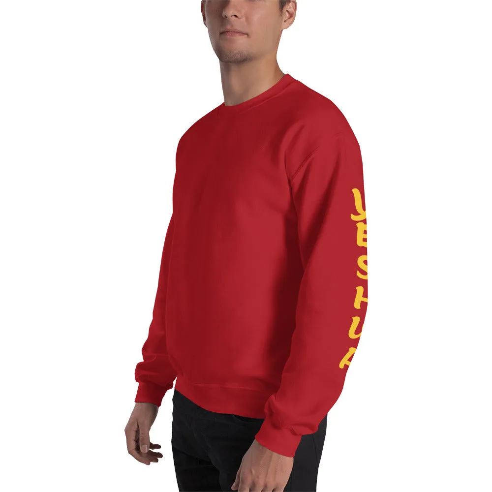 JESUS /YESHUA | Premium UNITY Design SLR Adult or Teen Unisex Sweatshirt