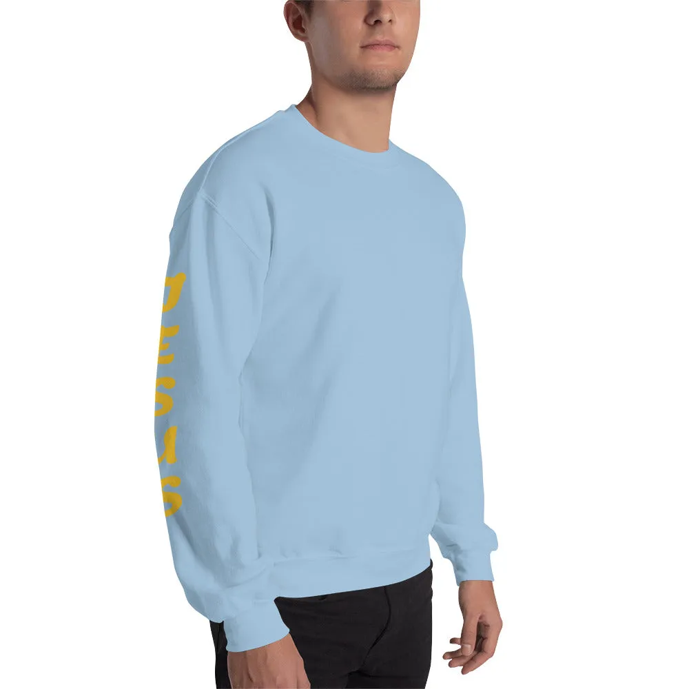 JESUS /YESHUA | Premium UNITY Design SLR Adult or Teen Unisex Sweatshirt