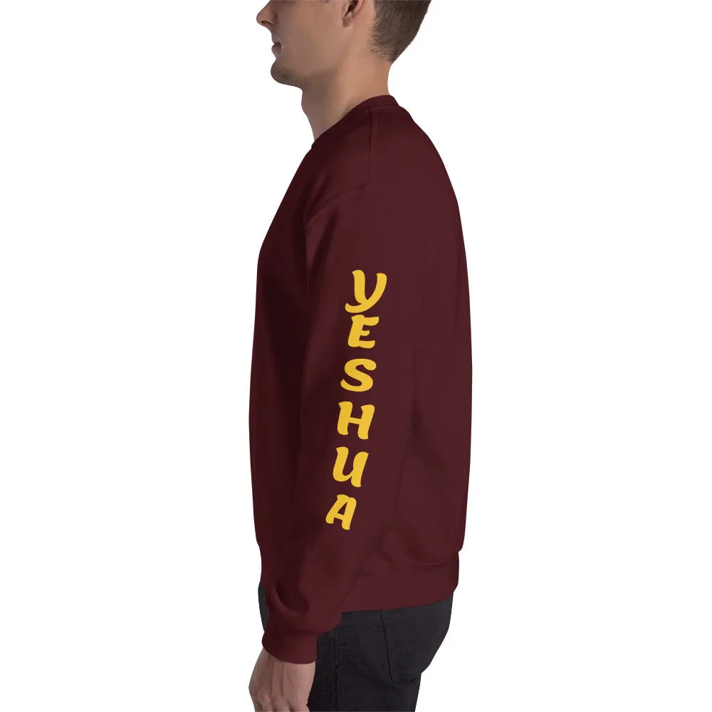 JESUS /YESHUA | Premium UNITY Design SLR Adult or Teen Unisex Sweatshirt