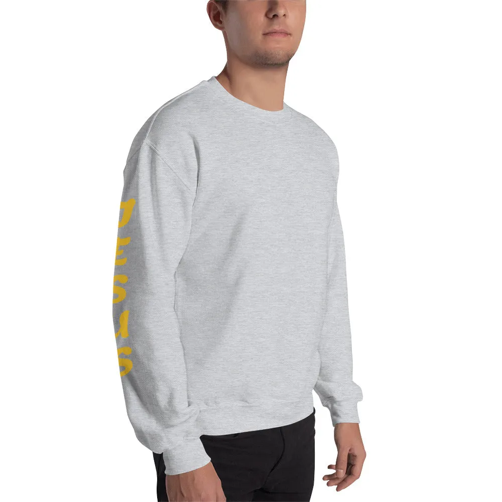 JESUS /YESHUA | Premium UNITY Design SLR Adult or Teen Unisex Sweatshirt