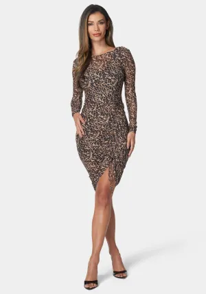 Long Sleeve Mesh Ruched Dress