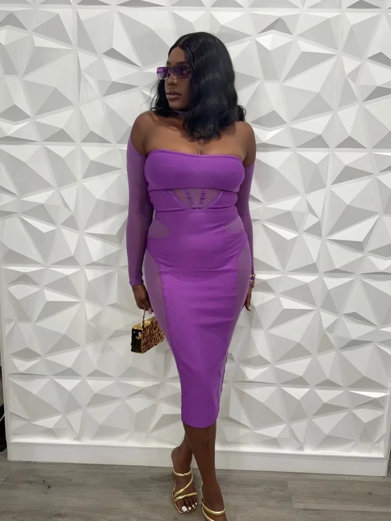 Nuruji Long Sleeve Mesh Dress x Violet