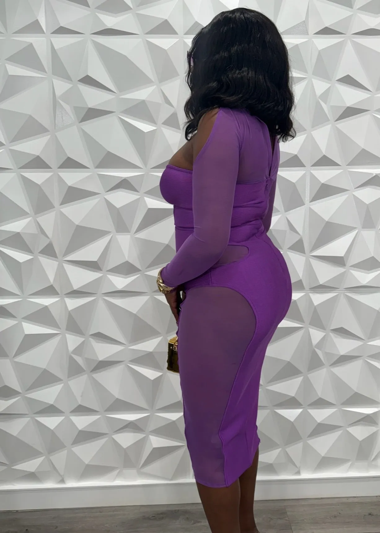 Nuruji Long Sleeve Mesh Dress x Violet
