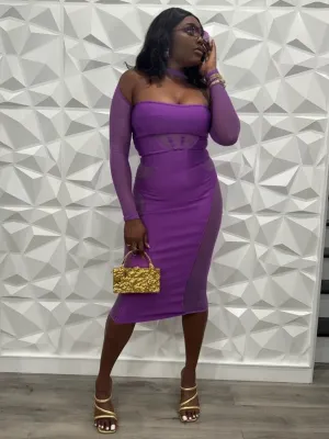 Nuruji Long Sleeve Mesh Dress x Violet