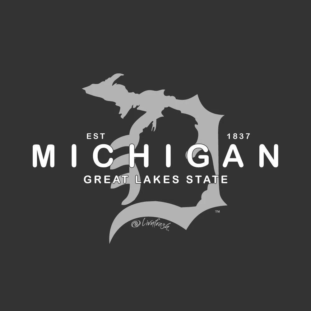 "Michigan D Established 1837" Women's Fleece Funnel Neck Pullover Hoodie