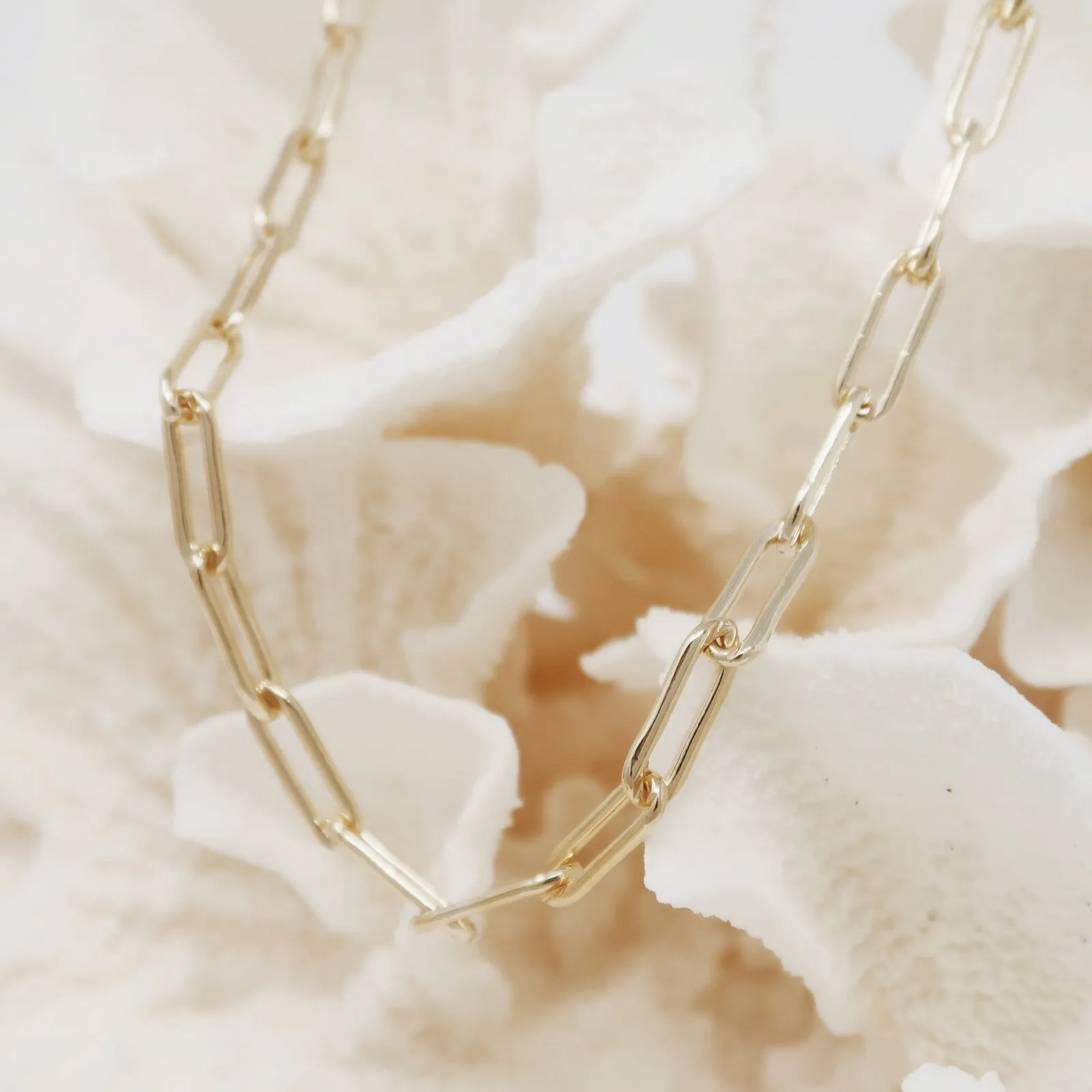 Renee Choker