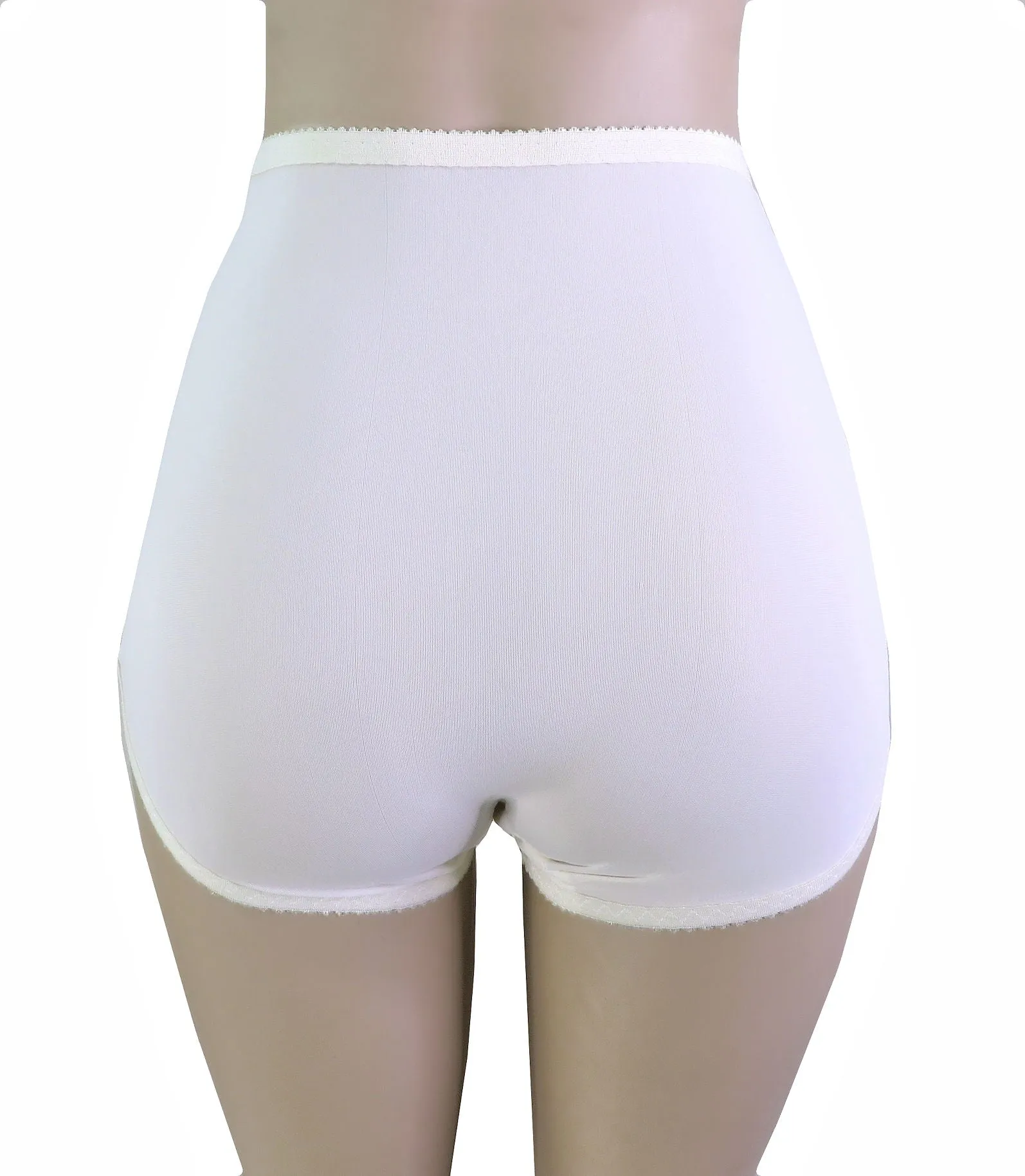 Shadowline Women's Underwear Nylon Spandex Brief Panties 3 Pack