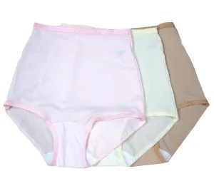 Shadowline Women's Underwear Nylon Spandex Brief Panties 3 Pack