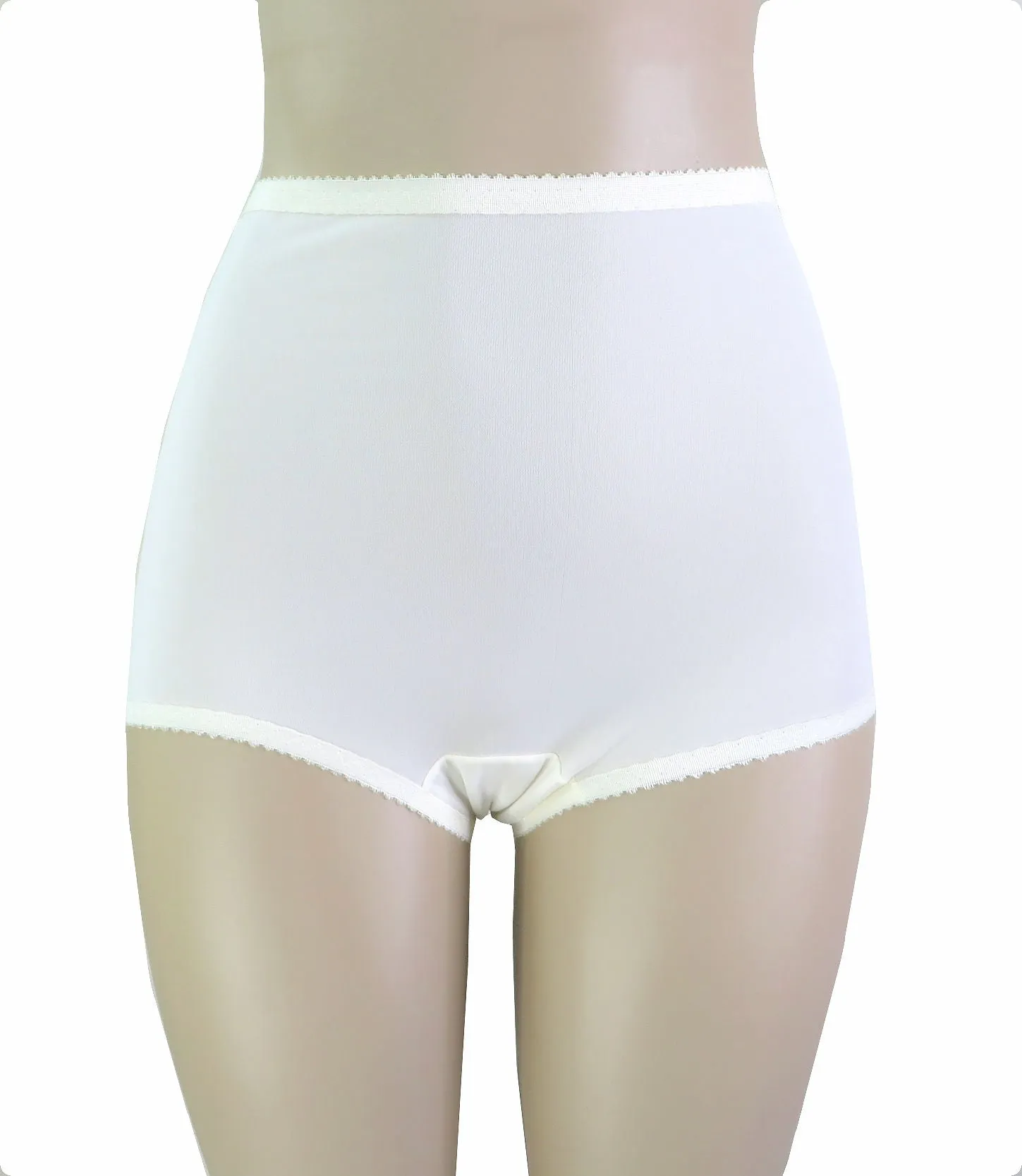 Shadowline Women's Underwear Nylon Spandex Brief Panties 3 Pack