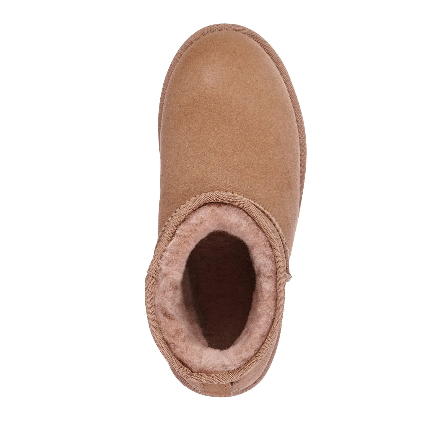 Stinger Micro - Chestnut||Stinger Micro - Châtaigne