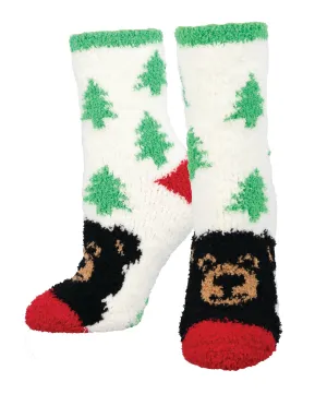 Warm & Cozy Beary Woodsy