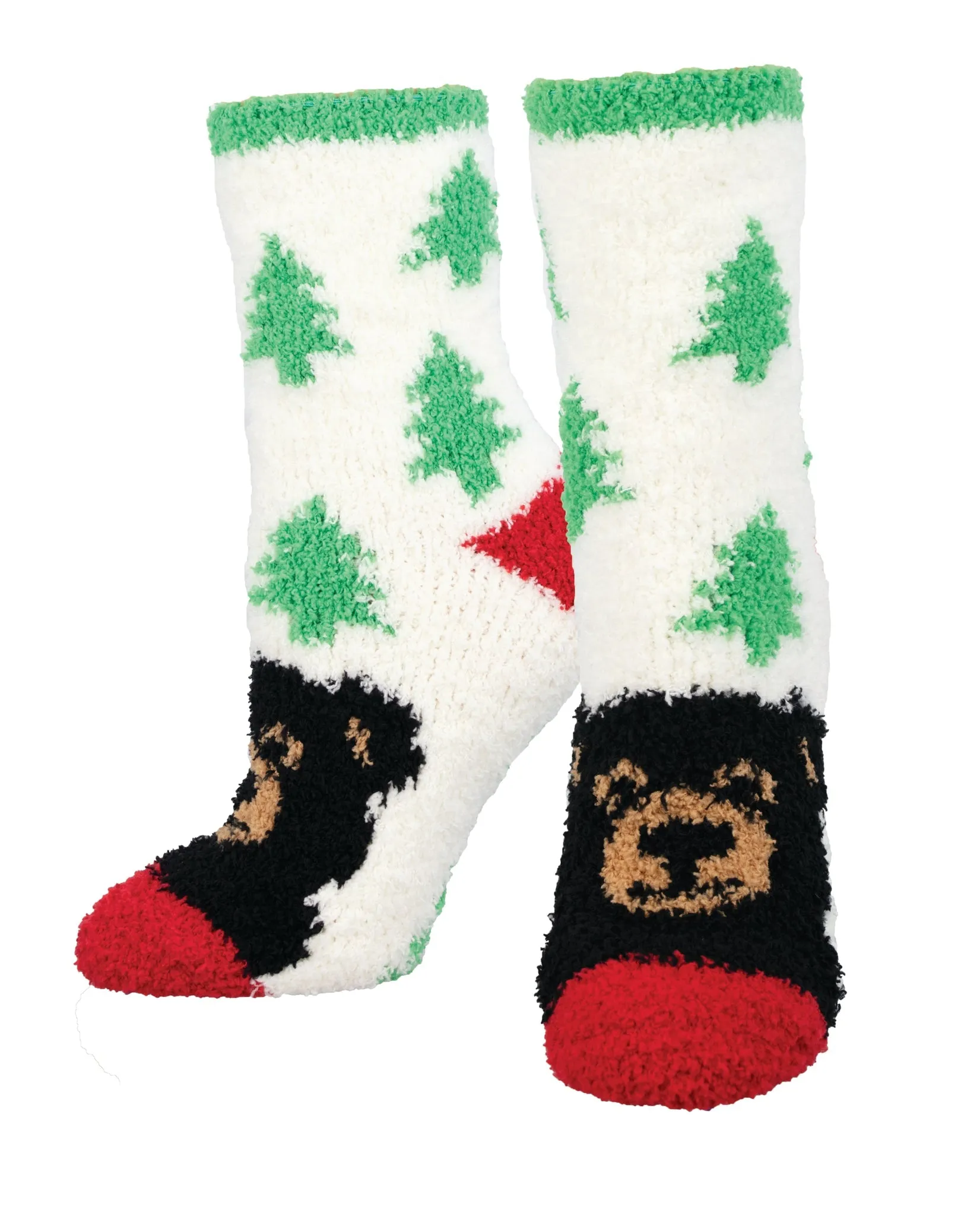Warm & Cozy Beary Woodsy