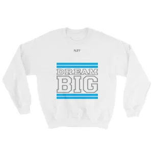 White Carolina Blue and Grey Sweatshirt