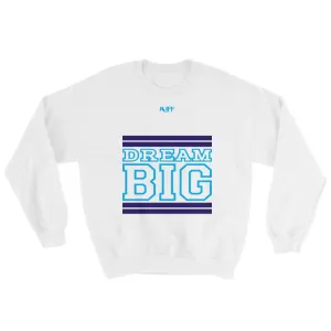 White Navy Blue and Carolina Blue Sweatshirt