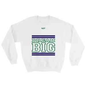 White Navy Blue and Green Sweatshirt
