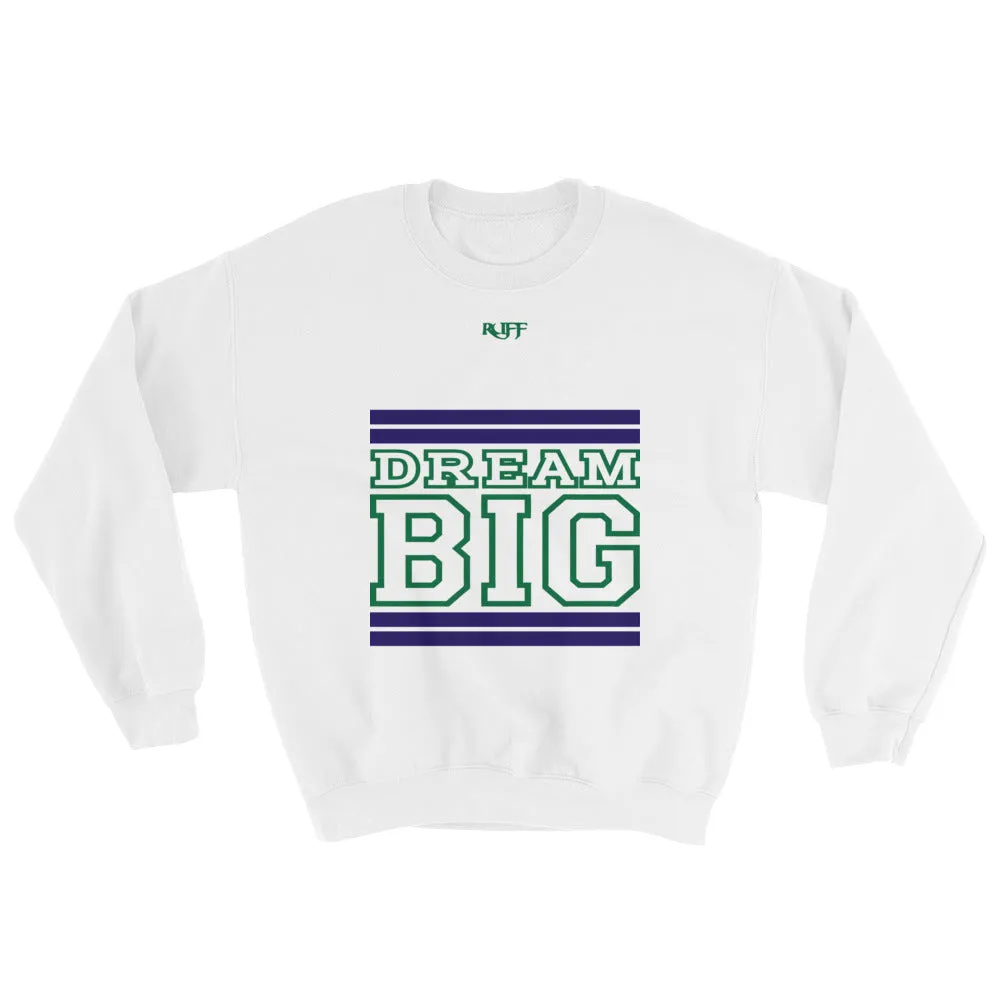 White Navy Blue and Green Sweatshirt