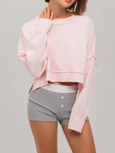 Women's Solid Crew Neck Long Sleeve Casual Minimalist Sweater