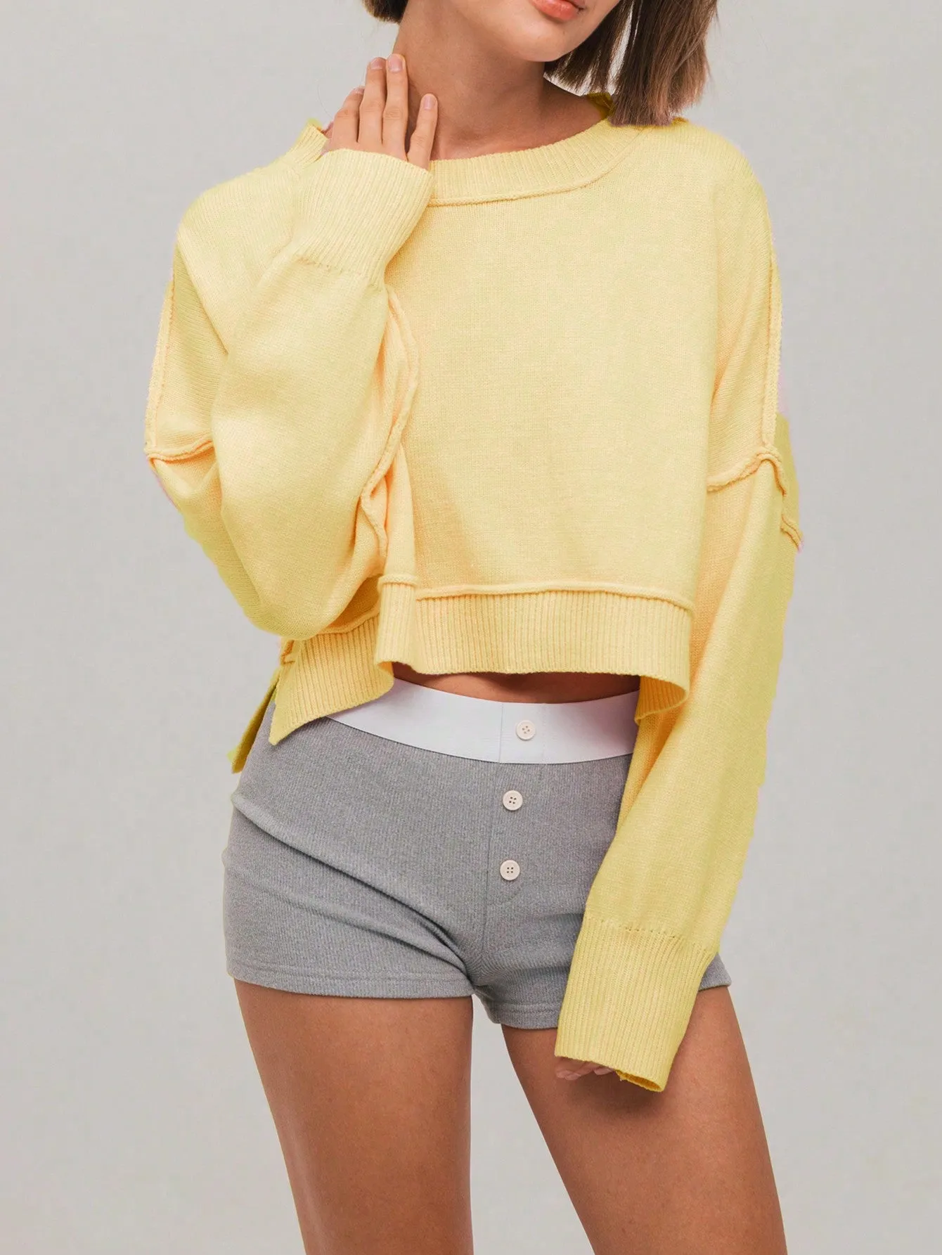 Women's Solid Crew Neck Long Sleeve Casual Minimalist Sweater
